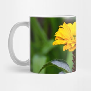 Summertime blooms Mug